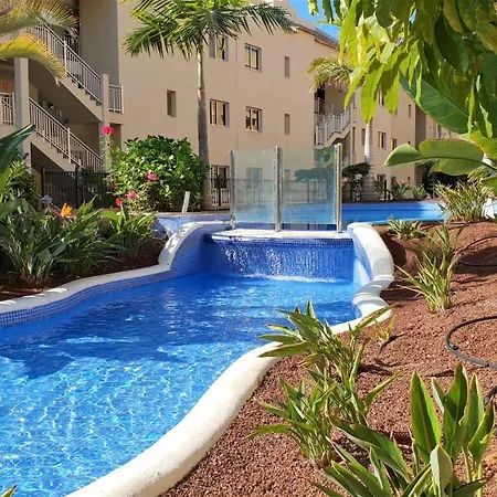 Ocean Hillside Palm-mar